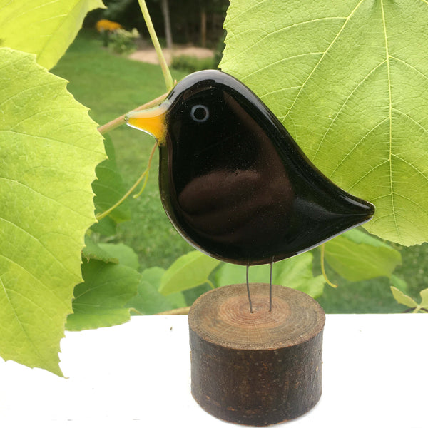 Fused Glass Blackbird | The Birds behind the Song!