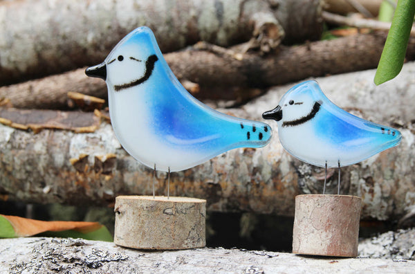 Fused Glass Blue Jay Collection | Perched, Hanging & Gift Sets