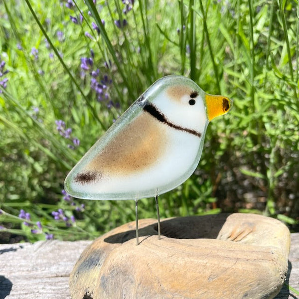 Fused Glass Piping Plover Collection | Perched, Hanging & Gift Sets