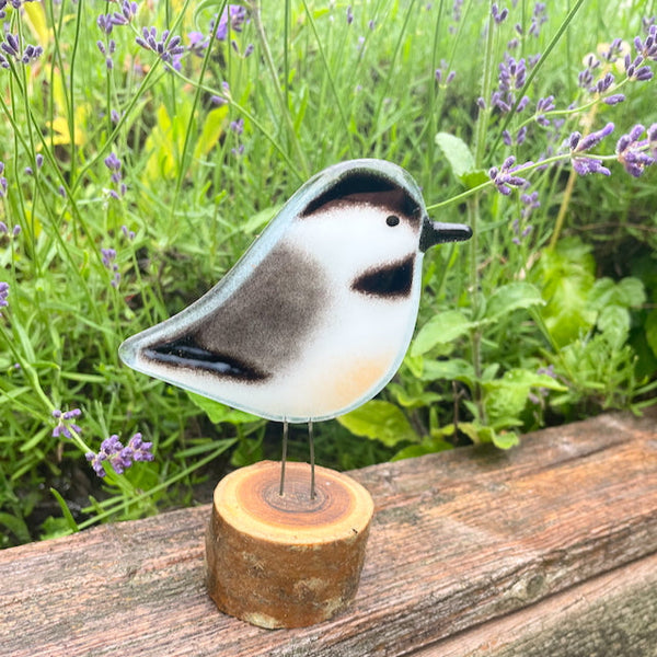 Fused Glass Chickadee Collection | Perched, Hanging & Gift Sets