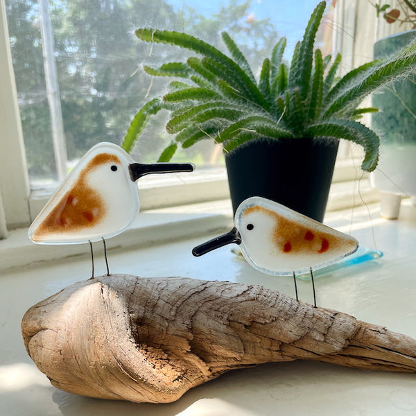 Fused Glass Sandpiper Collection | Perched, Hanging & Family Sets
