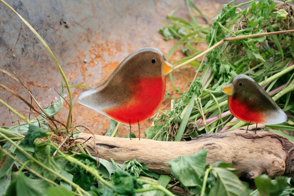 Fused Glass Robin Collection | Perched, Hanging & Gift Sets