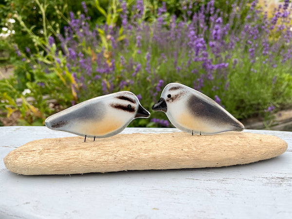 Fused Glass Nuthatch Collection | Perched, Hanging & Family Sets