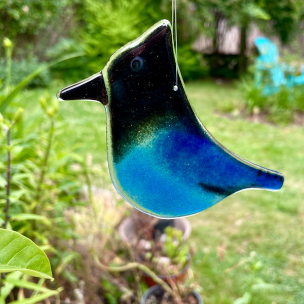 Load image into Gallery viewer, Adult sized fused glass black and blue hanging stellers jay