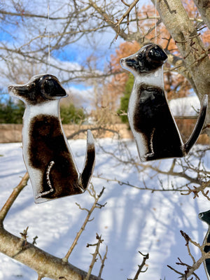 A pair of black and white glass border collie style dogs hang from a tree. It's a snowy scene.