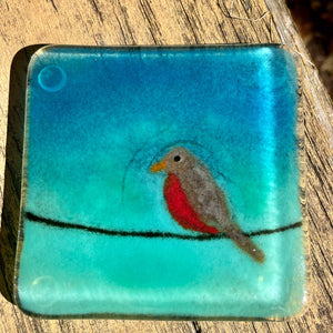 A blue and turquoise green fused glass coaster featuring a robin on a black wire.