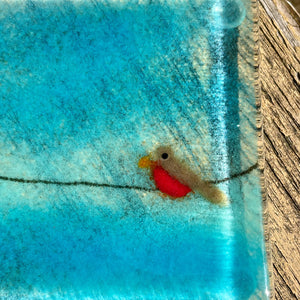 A close up of a blue fused glass coaster featuring a robin on a wire.