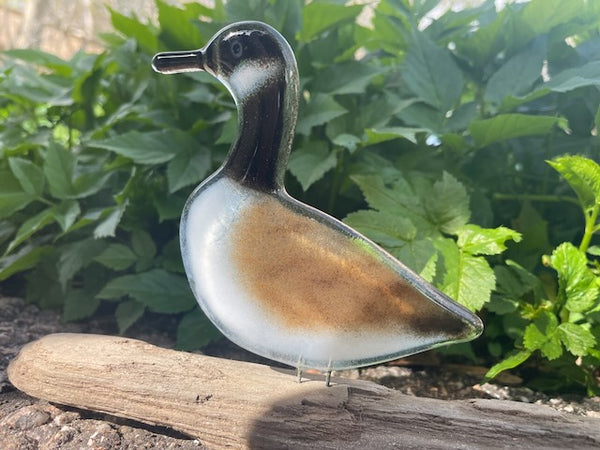 Load image into Gallery viewer, Handcrafted Fused Glass Canada Goose on Driftwood
