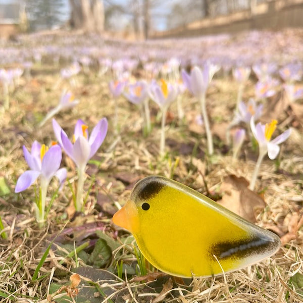 Load image into Gallery viewer, Handcrafted Fused Glass Goldfinch Chick and Purple Crocuses.