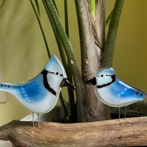 Pair of Fused Glass Art Blue Jays Adult and Chick in front of a tropical palm