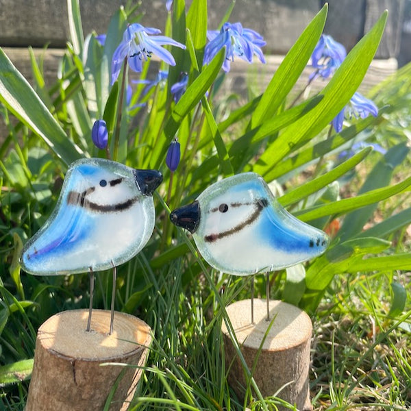 Load image into Gallery viewer, Two baby blue jay