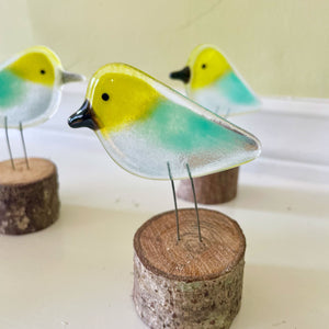 Close up of a glass bird in yellow, green and white with a black beak. The bird is perched on a log. In the background are two similar coloured glass birds.