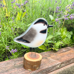 A black, white and grey chickadee is perched on a log in the garden in front of Lavender