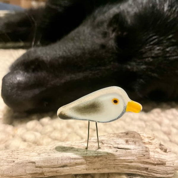 Load image into Gallery viewer, a small glass mini seagull perches on driftwood in front of a black dog. They are both on a wool rug