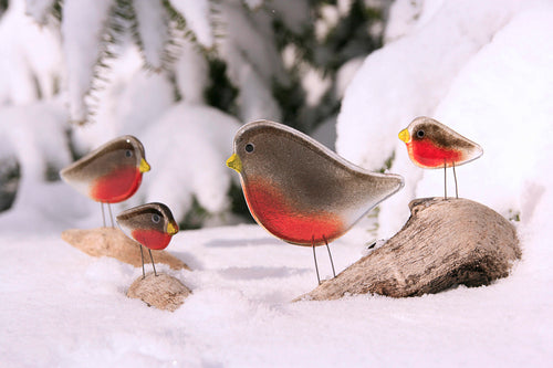 Robin Christmas Card - A family of four Glass Robins in Snow