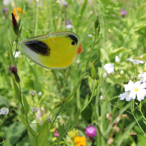 Tiny Glass bright yellow Goldfinch hanging ornament amongst pretty wildflowers