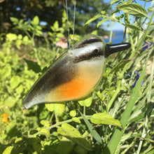 Load image into Gallery viewer, A fused glass hanging red-breasted nuthatch ornament (rusty red Chest, grey wings and black and white head). The bird hangs in front of some green foliage.

