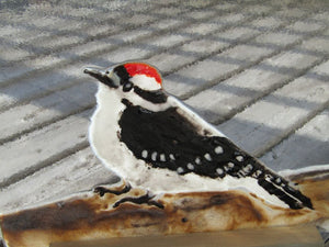 Downy Woodpecker (Juvenile) Glass Art