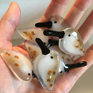 A hand full of tiny glass spotted sandpiper shore birds with long black beaks