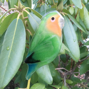 Rosy Faced Lovebird made from Fused Glass