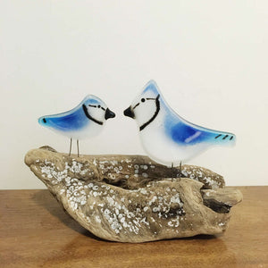 Fused Glass Blue and White Adult and Chick Blue Jay birds are perched on driftwood