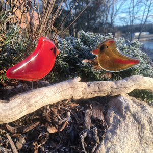 A pair of male and female cardinal chicks made of glass, perch on driftwood in a frosty garden