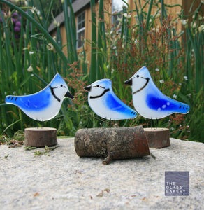 Three glass blue jay birds on log sit on a rock with a shed and grass in the background. The glass birds are blue and white.