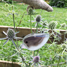 Load image into Gallery viewer, Small grey and white glass bird with pink beak dangles from driftwood. In the background are some thistles and a farm fence
