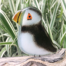 Load image into Gallery viewer, Glass Puffin Chick on Driftwood. Green Grass is in the background.
