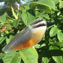 Load image into Gallery viewer, Small glass hanging bird with grey wings, a stripey black and white face, black beak and rusty chest. A close up photograph of the glass bird hanging in front of a rose bush.
