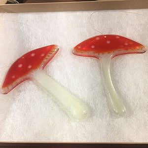 Misfit Experimental Mushrooms