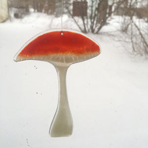 Misfit Experimental Mushrooms