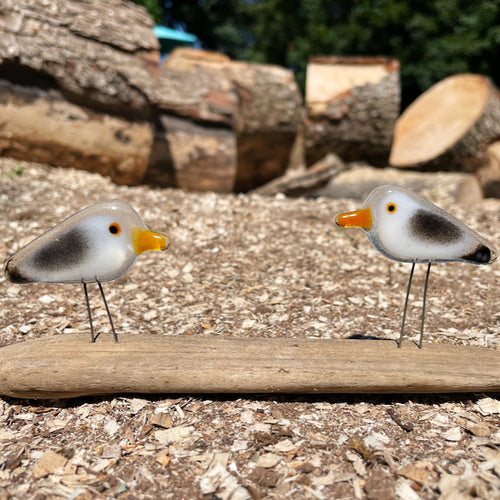 A pair of grey, white and black fused glass seagull pairs, in tiny pocket sized. The birds are perched on driftwood in front of some logs.