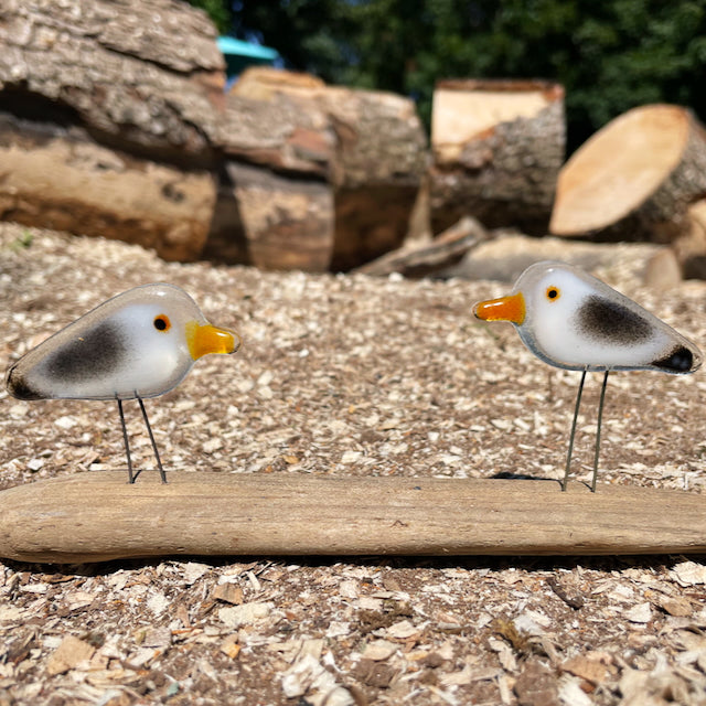 A pair of grey, white and black fused glass seagull pairs, in tiny pocket sized. The birds are perched on driftwood in front of some logs.