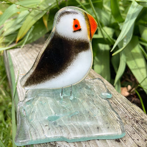 Fused glass sculpture of a puffin chick on a natural background