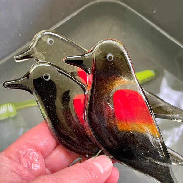 Load image into Gallery viewer, A trio of fused glass red-winged blackbirds in glossy red and black glass.
