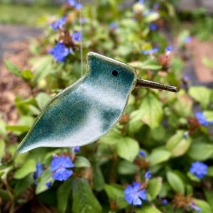 Hanging Kingfisher