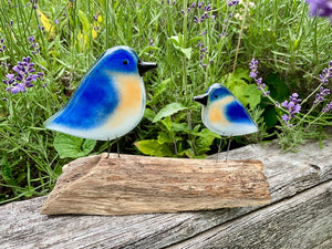 A pair of adult and chick blue and white glass bluebirds are perched on driftwood