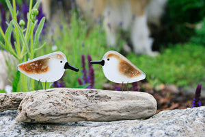 A pair of brown and white speckled pattern fused glass sandpiper chicks are perched on driftwood in a backyard garden