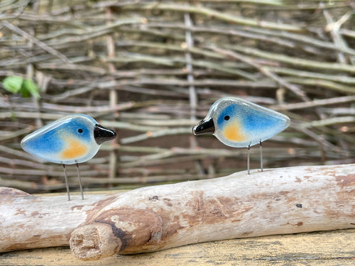 A pair of blue, white and peach fused glass pocket bluebirds, perched on driftwood, in a garden (backyard)