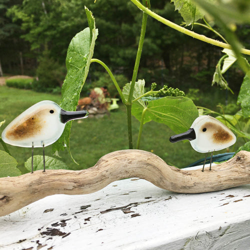 A pair of pocket fused glass sandpipers in brown and white are perched on driftwood in backyard garden