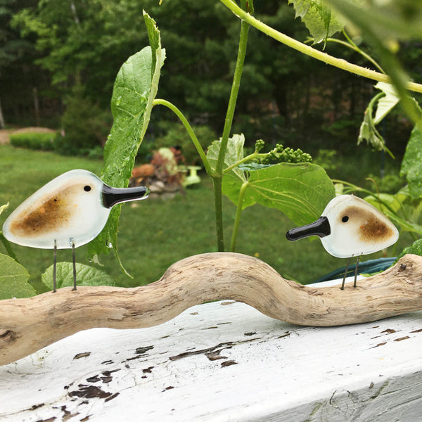 Load image into Gallery viewer, A pair of pocket fused glass sandpipers in brown and white are perched on driftwood in backyard garden
