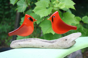 A pair of bright red glass cardinals sit on driftwood in front of grape vine leaves.