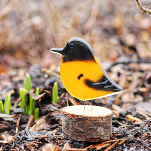 A black and orange glass bird in the form of a Baltimore oriole is perched in the garden. The scene is natural mulch with a few early crocuses poking through the earth.