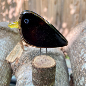 A glossy black glass blackbird with yellow beak is perched on a log, against a nature background