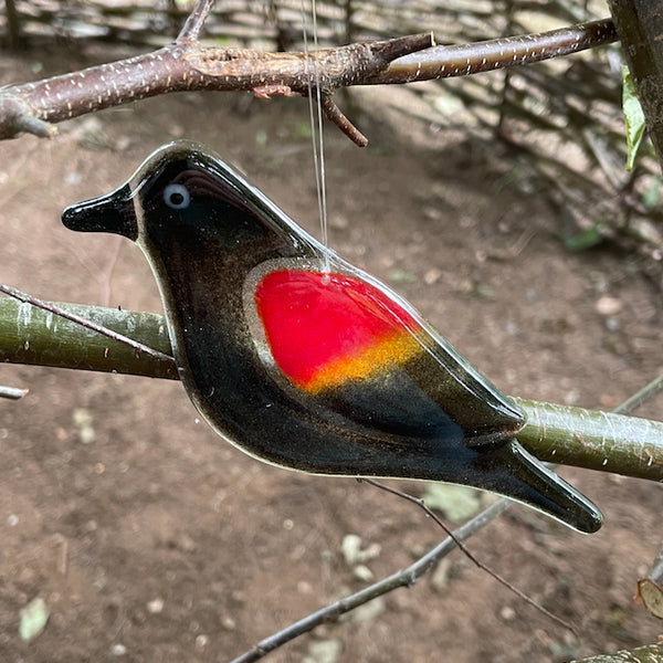 Load image into Gallery viewer, Black, yellow and red hanging fused glass blackbird

