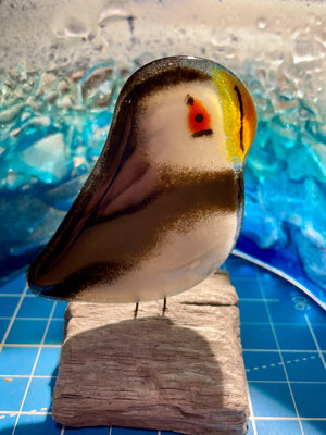 Charity Black Glass Puffin | Perched Chick Ornament