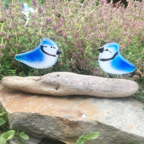 two blue and white fused glass blue jays are perched on driftwood, in front of flowering thyme