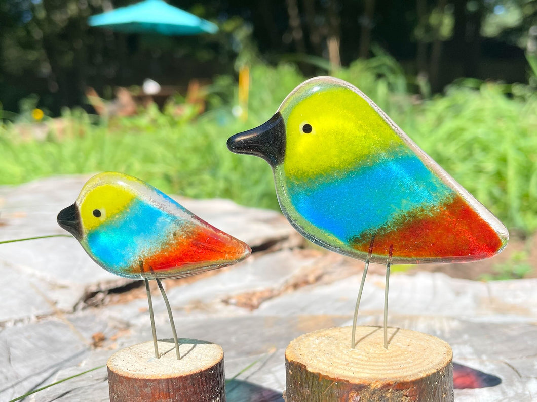 A close up of two colourful  yellow, blue and red striped glass birds 