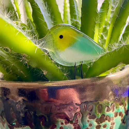 A small tricolour blocked glass bird is perched in a. planter